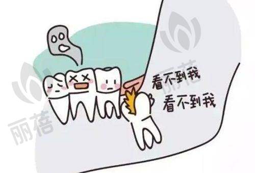 项目价格参考
