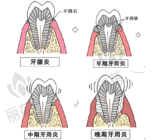 文章总结
