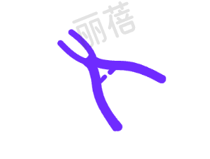 便捷的交通位置