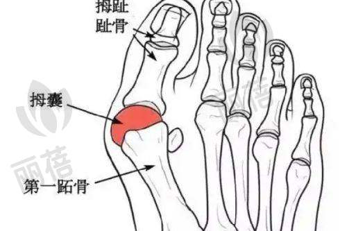 医生团队