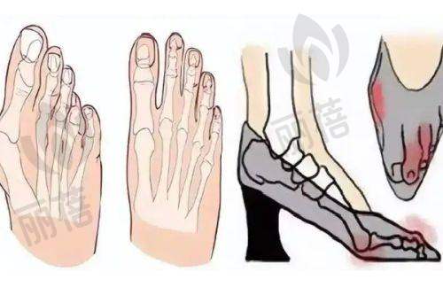 部分医师简介