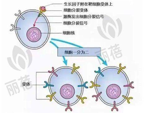 医院发展历程与成果