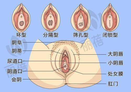 与其他医院对比优势