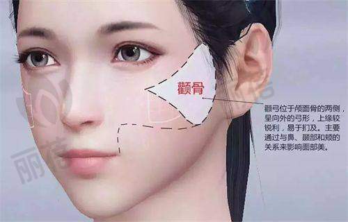 崔春晓医生坐诊医院情况