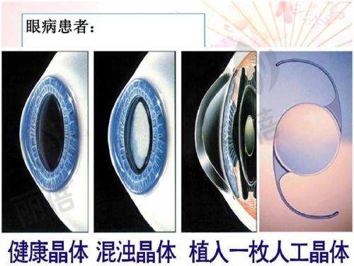 诊所口碑与服务质量