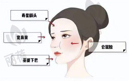 出行指南