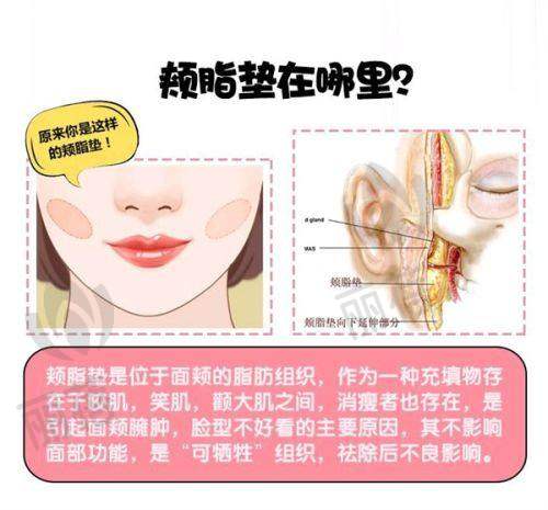 市场影响力与口碑