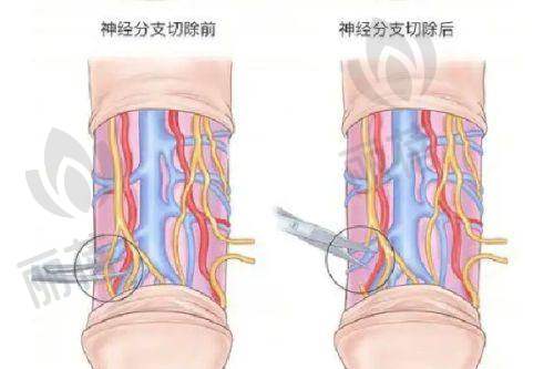 服务质量体验