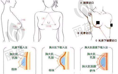 顾客口碑反馈
