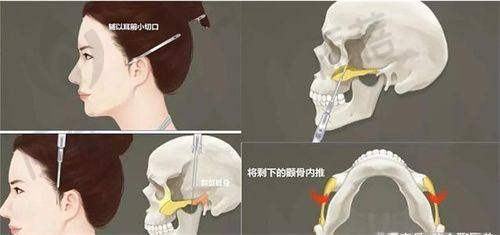 大连爱德丽格2025年价格表
