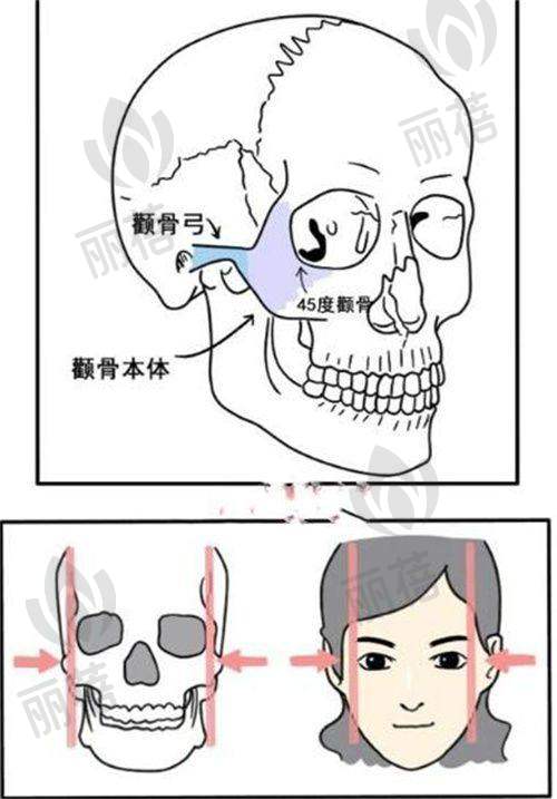 大连瑞丽医疗美容门诊部2025年价格表