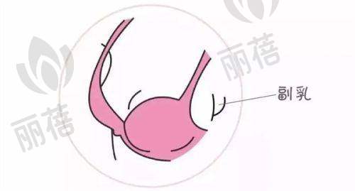 与其他机构对比优势