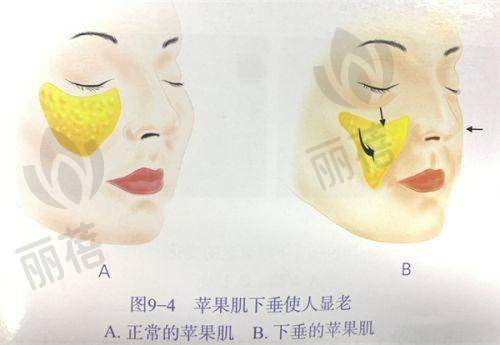 医院资质情况