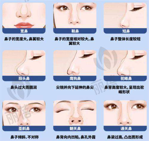 多方式预约通道