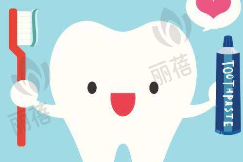 服务与收费特点